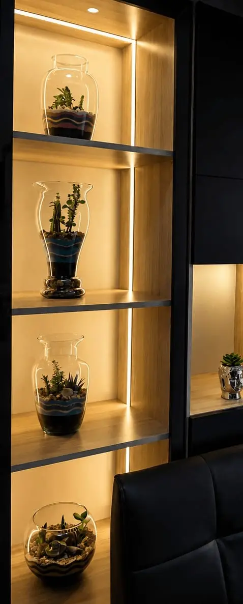 Proyecto de CLONED TERRARIUM para Fine Modular