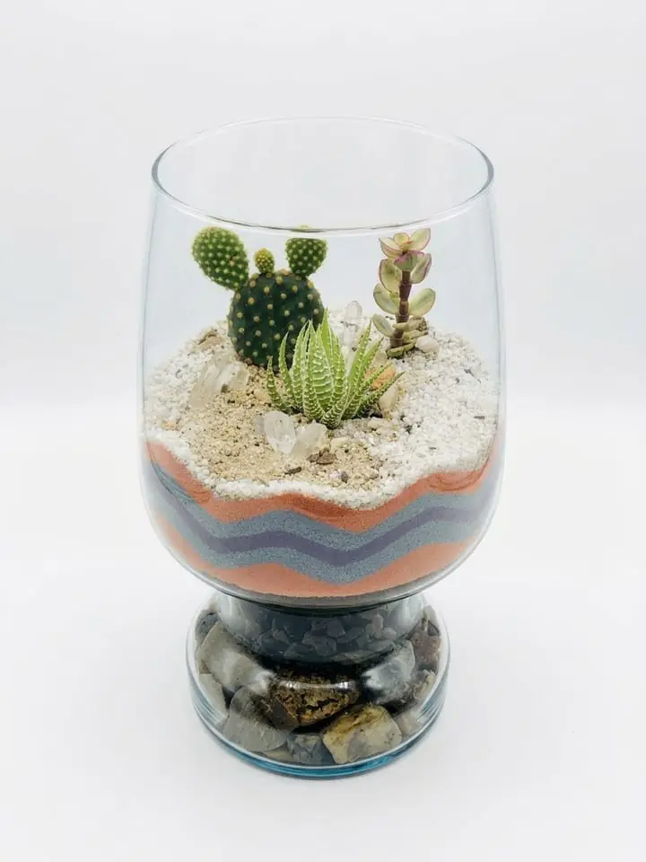 Terrario CT-025 · Resiliencia Viva