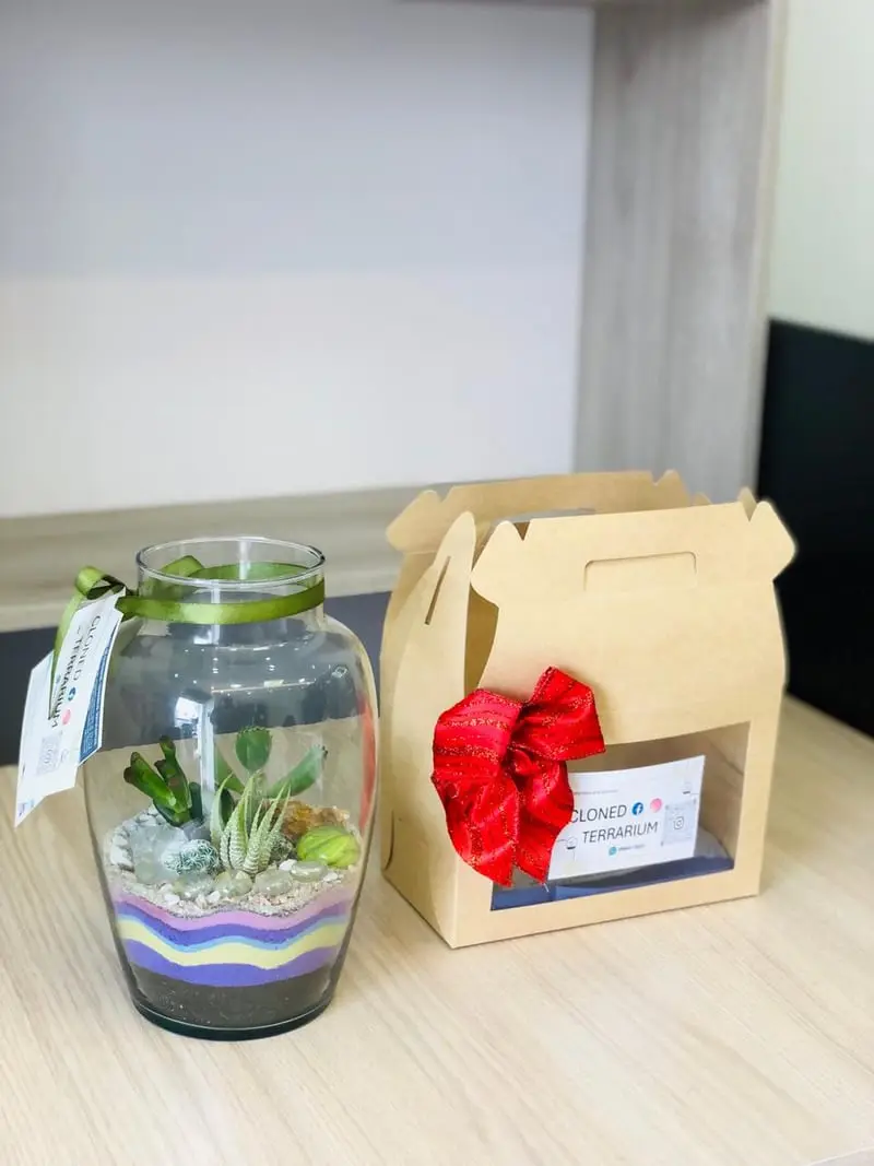Terrario con etiqueta CLONED junto a su caja de regalo con lazo