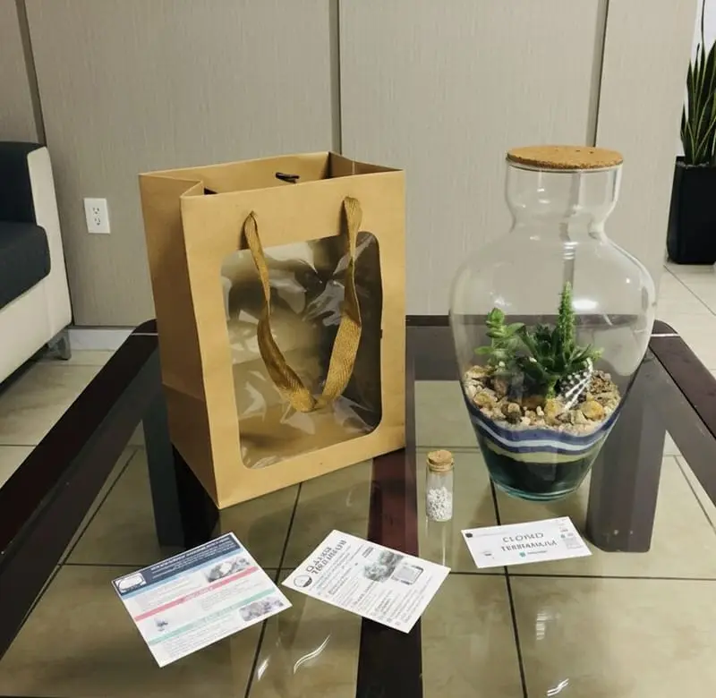 Terrario con bolsa de empaque propio, frasco de sustrato y guía de cuidado